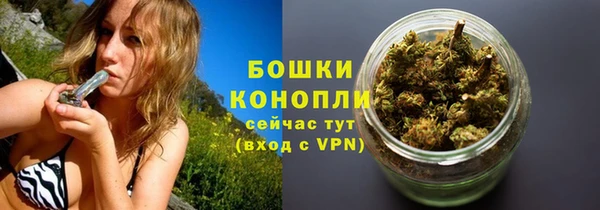 spice Вяземский